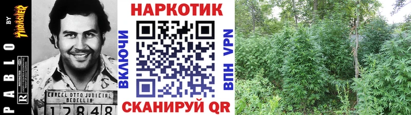 Сколько стоит Торжок Бошки Шишки кракен ONION ГАШ