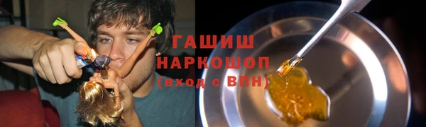 МДПВ Гатчина