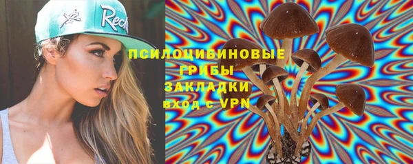 МДПВ Гатчина